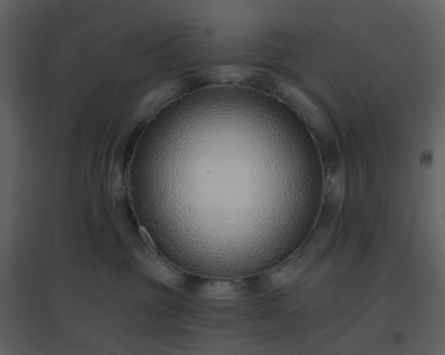 X0000096630381200802121053