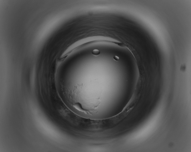 X0000096630382200802121053