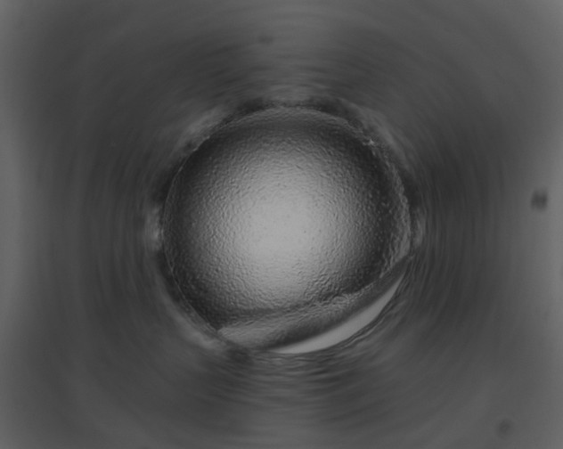 X0000096630383200802121053