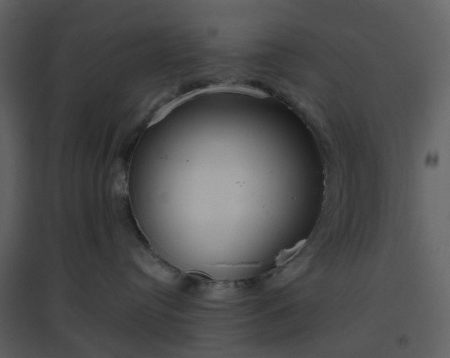 X0000096630384200802121053