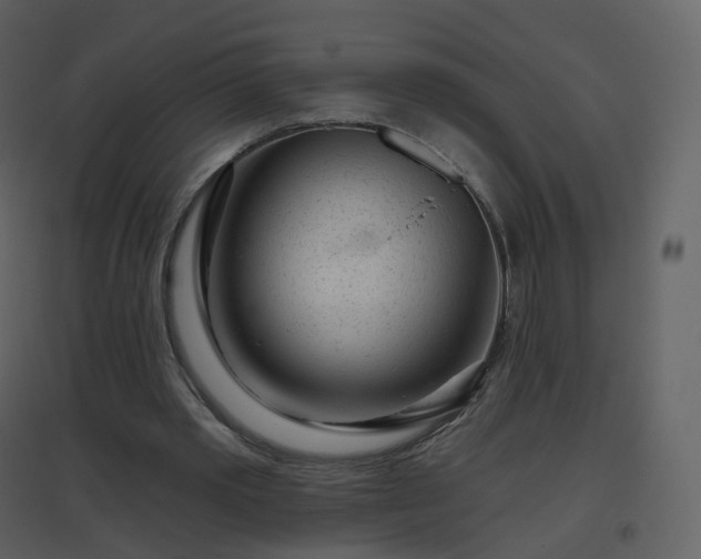 X0000096630389200802121052