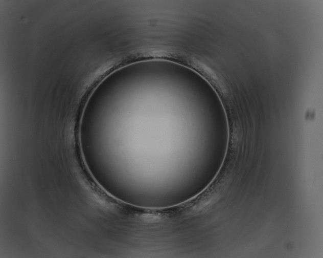 X0000096630394200802121052