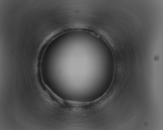 X0000096630395200802121052