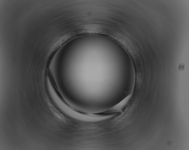 X0000096630397200802121052