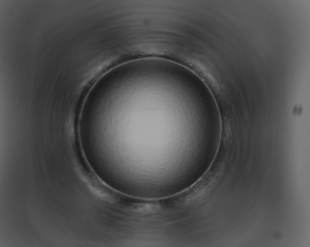 X0000096630398200802121052
