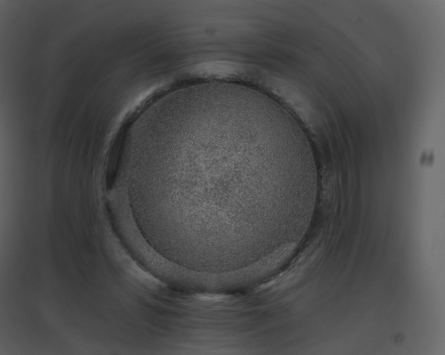 X0000096630399200802121052