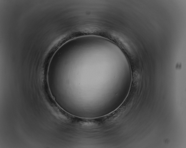 X0000096630400200802121052