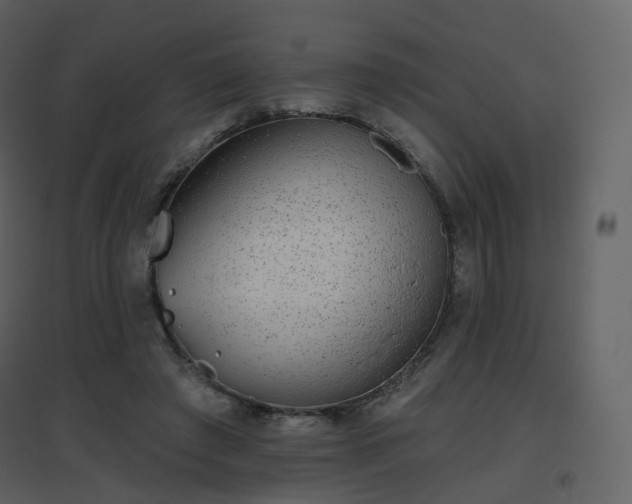 X0000096630401200802121052