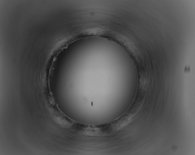 X0000096630403200802121052