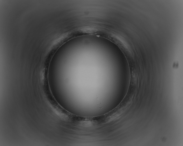 X0000096630404200802121052