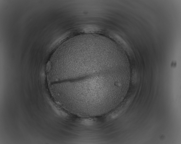 X0000096630405200802121052