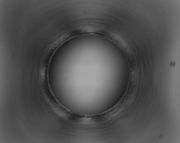 X0000096630406200802121052