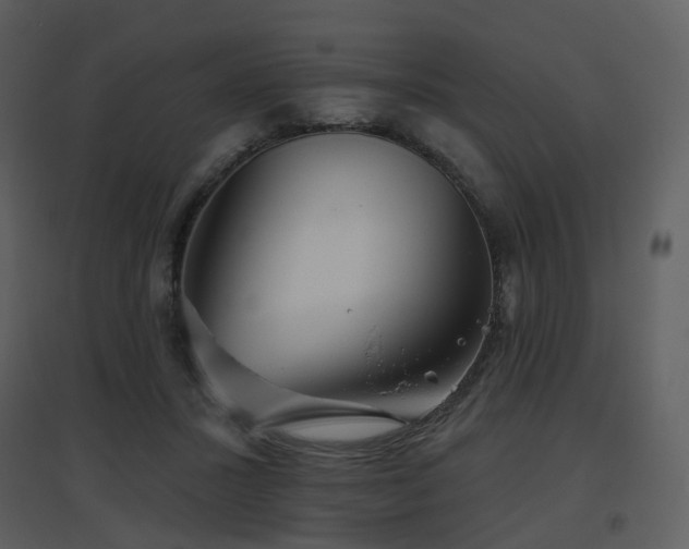 X0000096630407200802121052