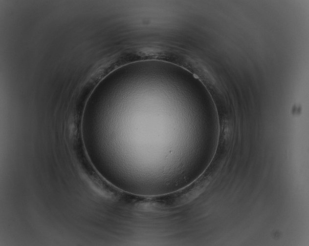 X0000096630408200802121052
