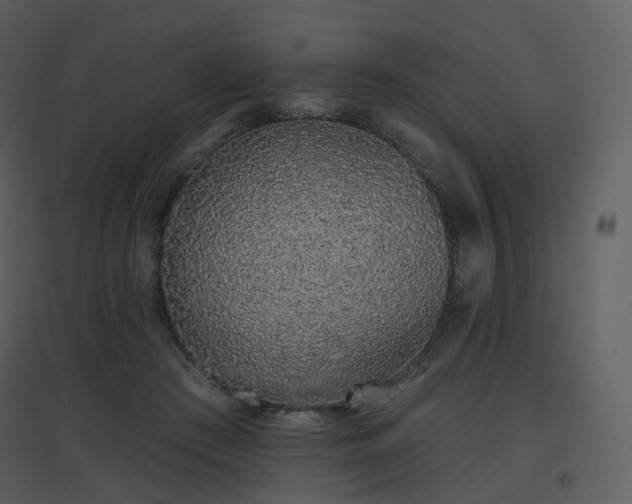 X0000096630409200802121052