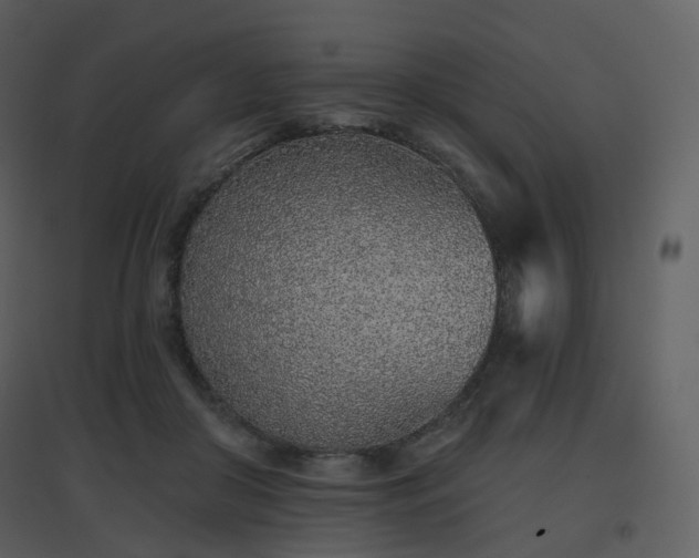 X0000096630410200802121052
