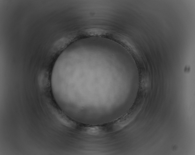 X0000096630411200802121052