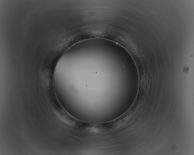 X0000096630412200802121052