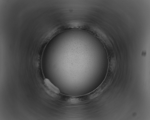 X0000096630413200802121052
