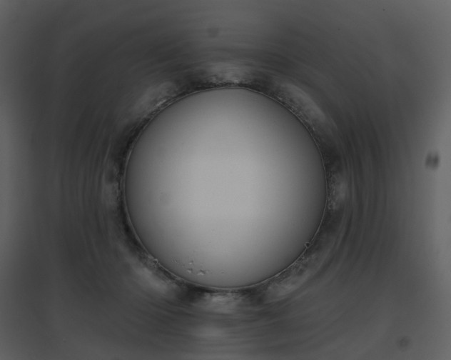 X0000096630414200802121052
