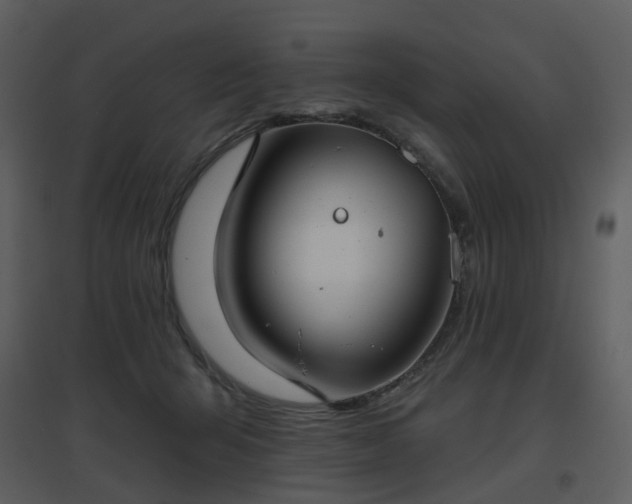 X0000096630415200802121052