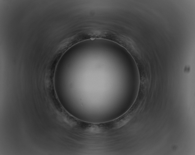 X0000096630416200802121052