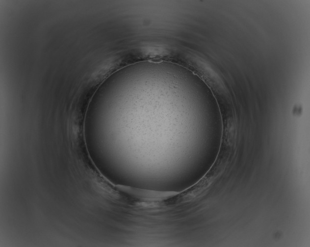 X0000096630417200802121052