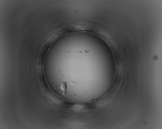 X0000096630418200802121052