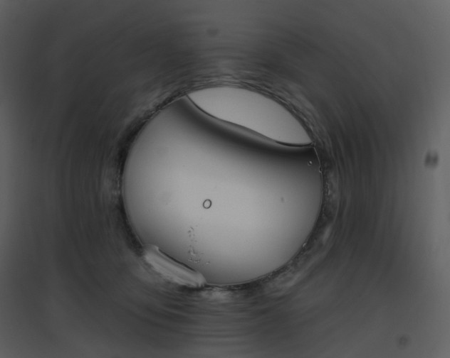 X0000096630419200802121051