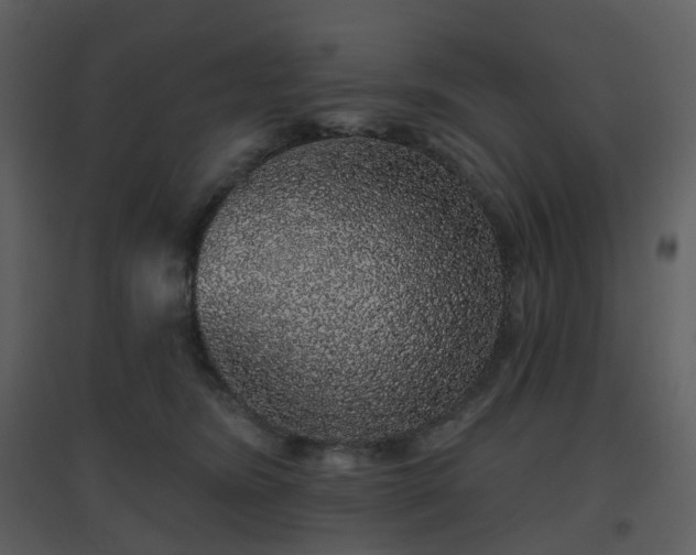 X0000096630420200802121051