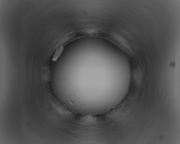 X0000096630421200802121051