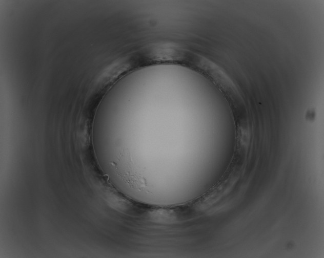 X0000096630422200802121051