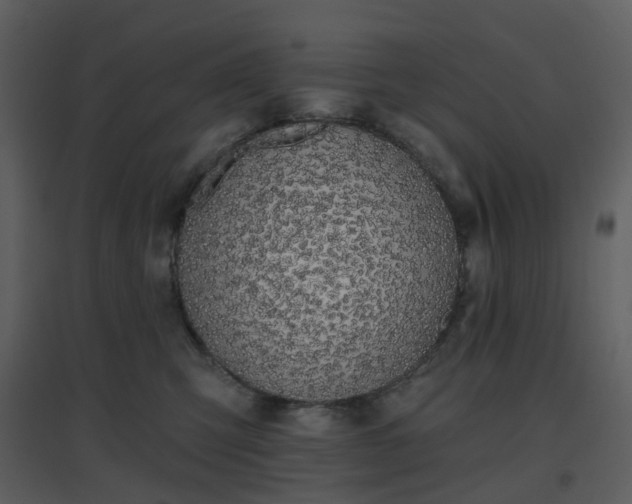 X0000096630423200802121051