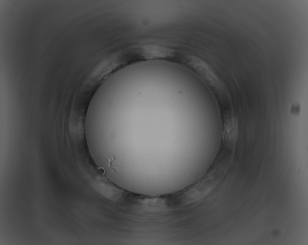 X0000096630426200802121051