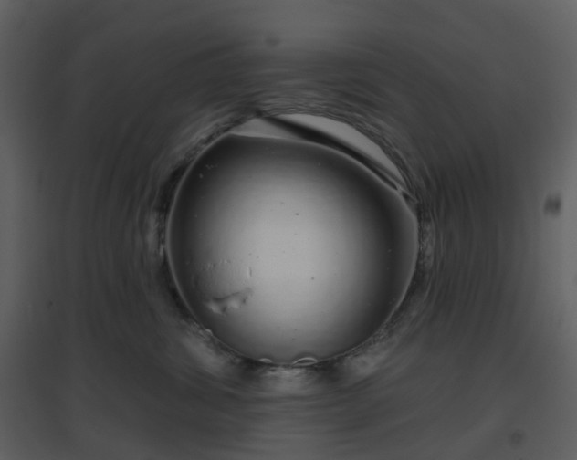 X0000096630428200802121051