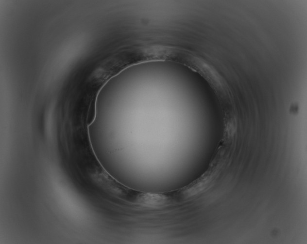 X0000096630429200802121051