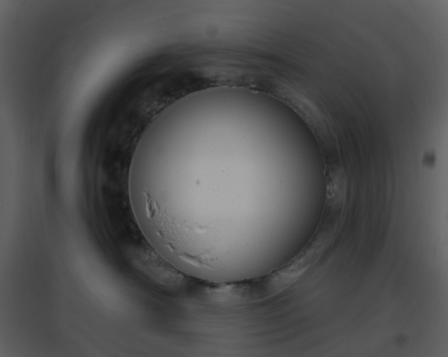 X0000096630430200802121051