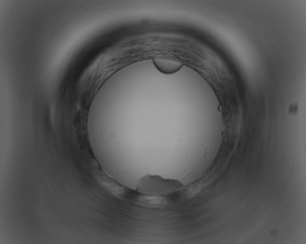 X0000096630431200802121051