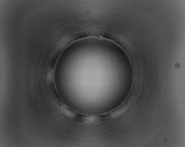 X0000096630432200802121051