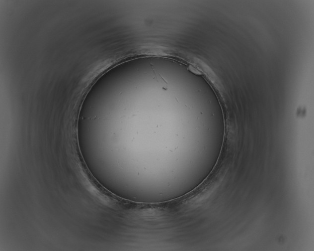 X0000096630433200802121050