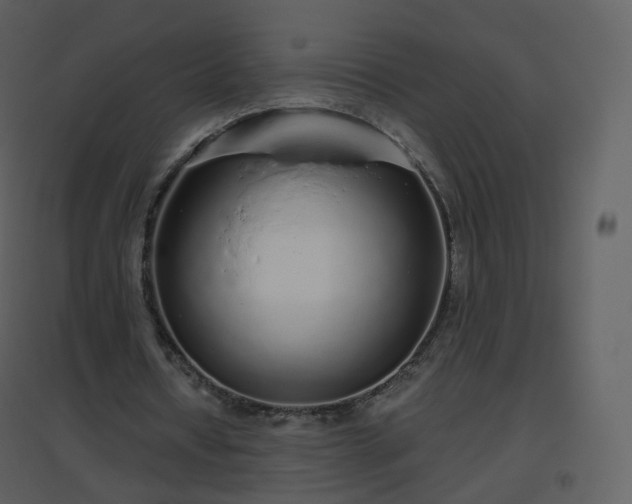 X0000096630434200802121050