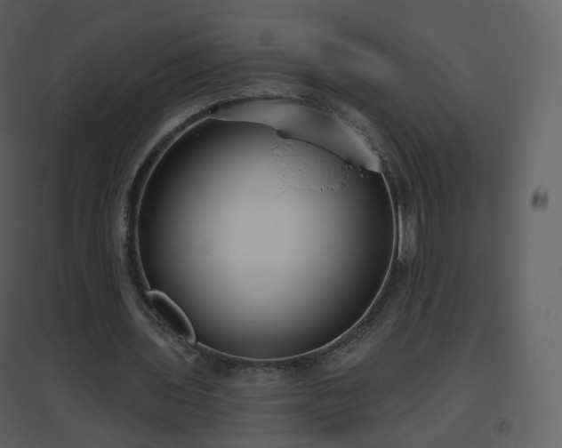 X0000096630435200802121051