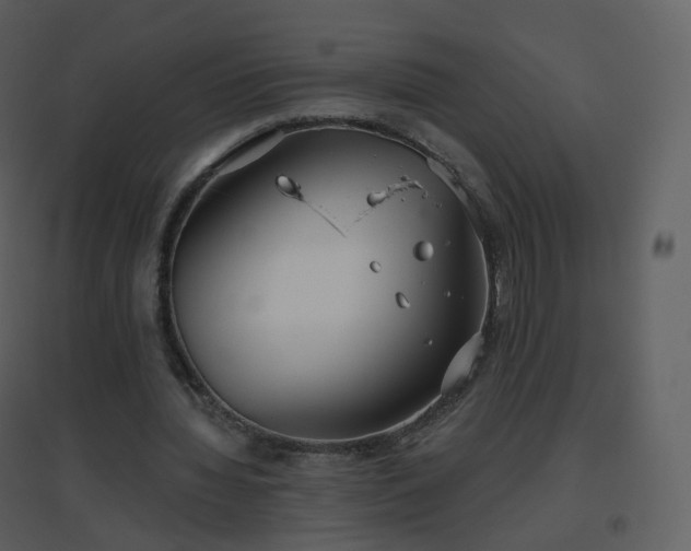 X0000096630436200802121051