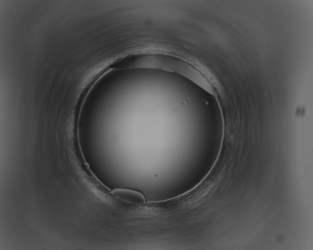X0000096630437200802121051