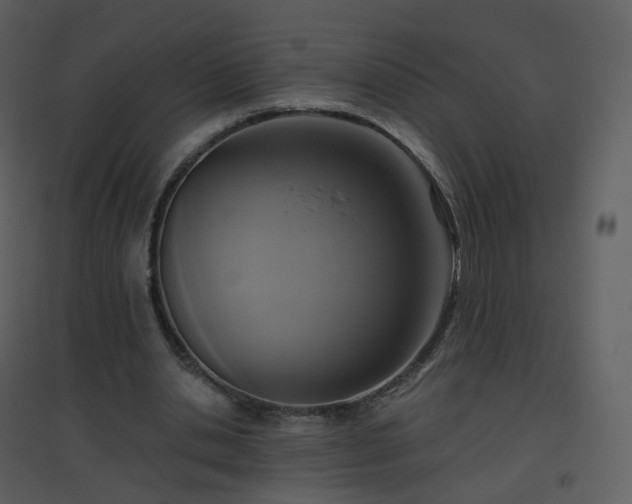 X0000096630438200802121051