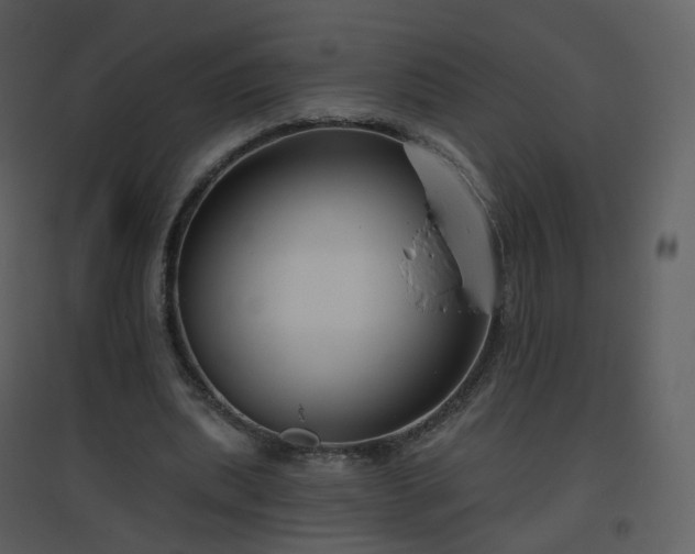 X0000096630439200802121051