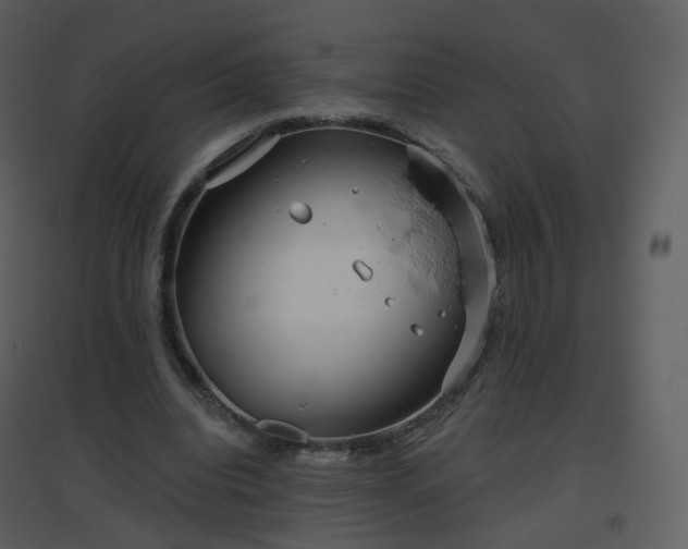 X0000096630440200802121051