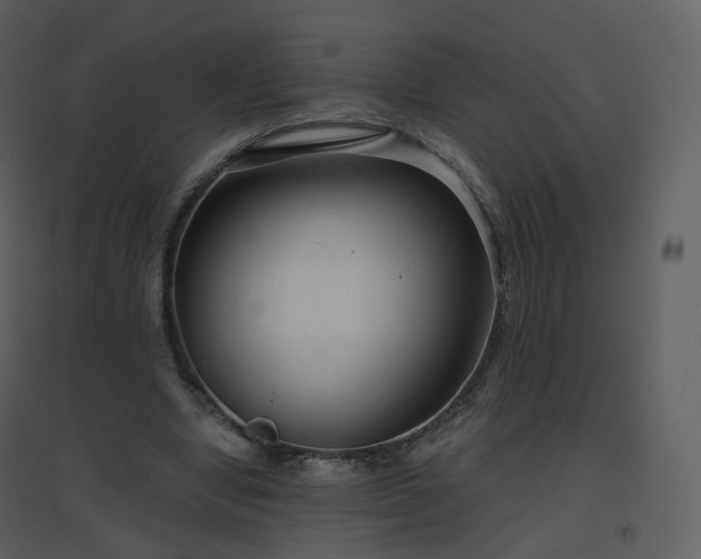 X0000096630442200802121051