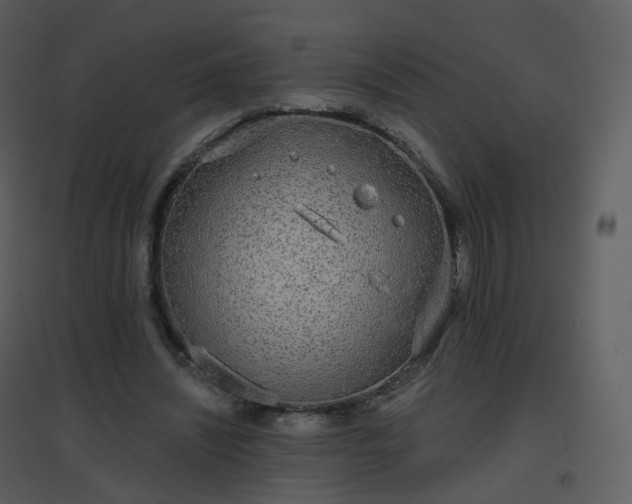 X0000096630444200802121051