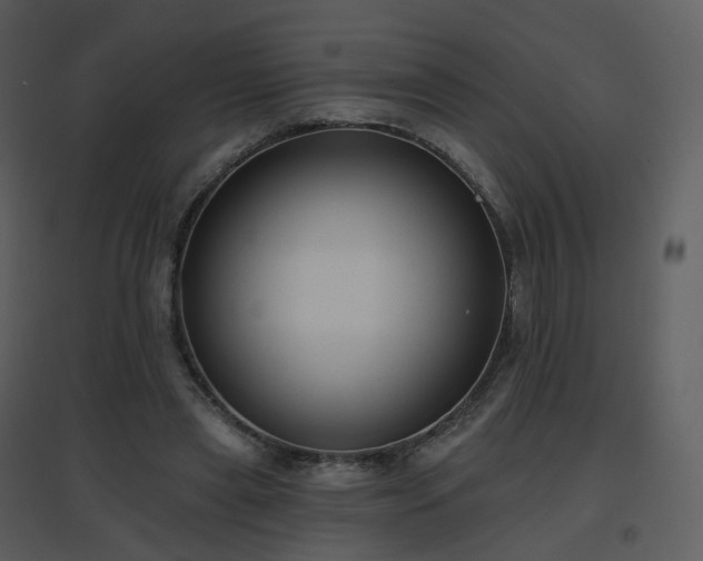 X0000096630445200802121051
